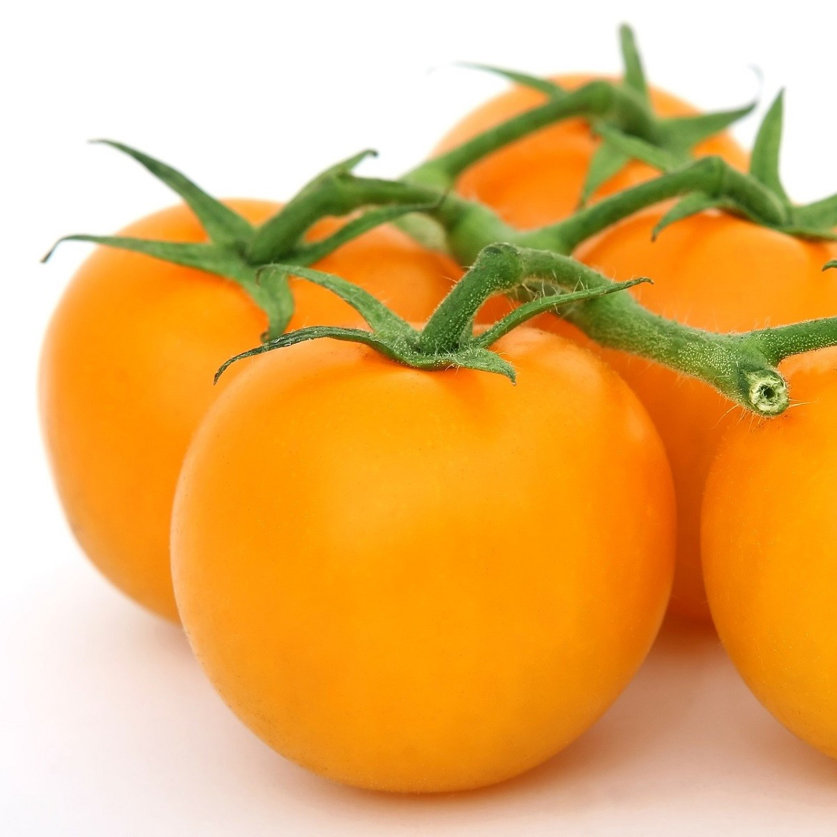 Paradajka Goldkrone - Solanum lycopersicum - semená - 20 ks