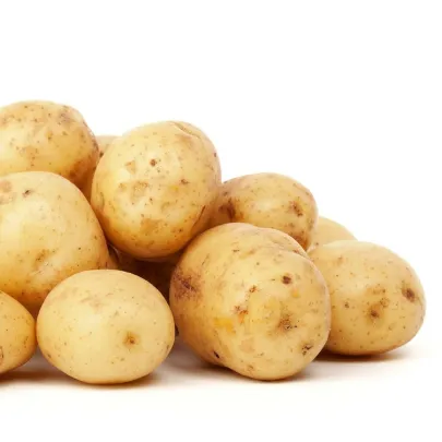 Sadbové zemiaky Carrera - Solanum tuberosum - žlté skoré - 5 kg
