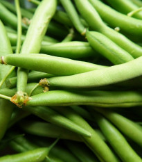 Fazuľa Delinel - Phaseolus vulgaris - semená - 20 ks