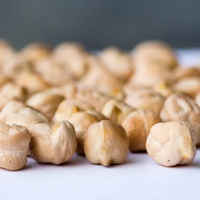 Cícer Pascia - Cicer arietinum - semená - 10 ks