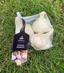 Sadbový cesnak Japo II - Allium sativum - nepaličiak - cibule cesnaku - 1 balenie