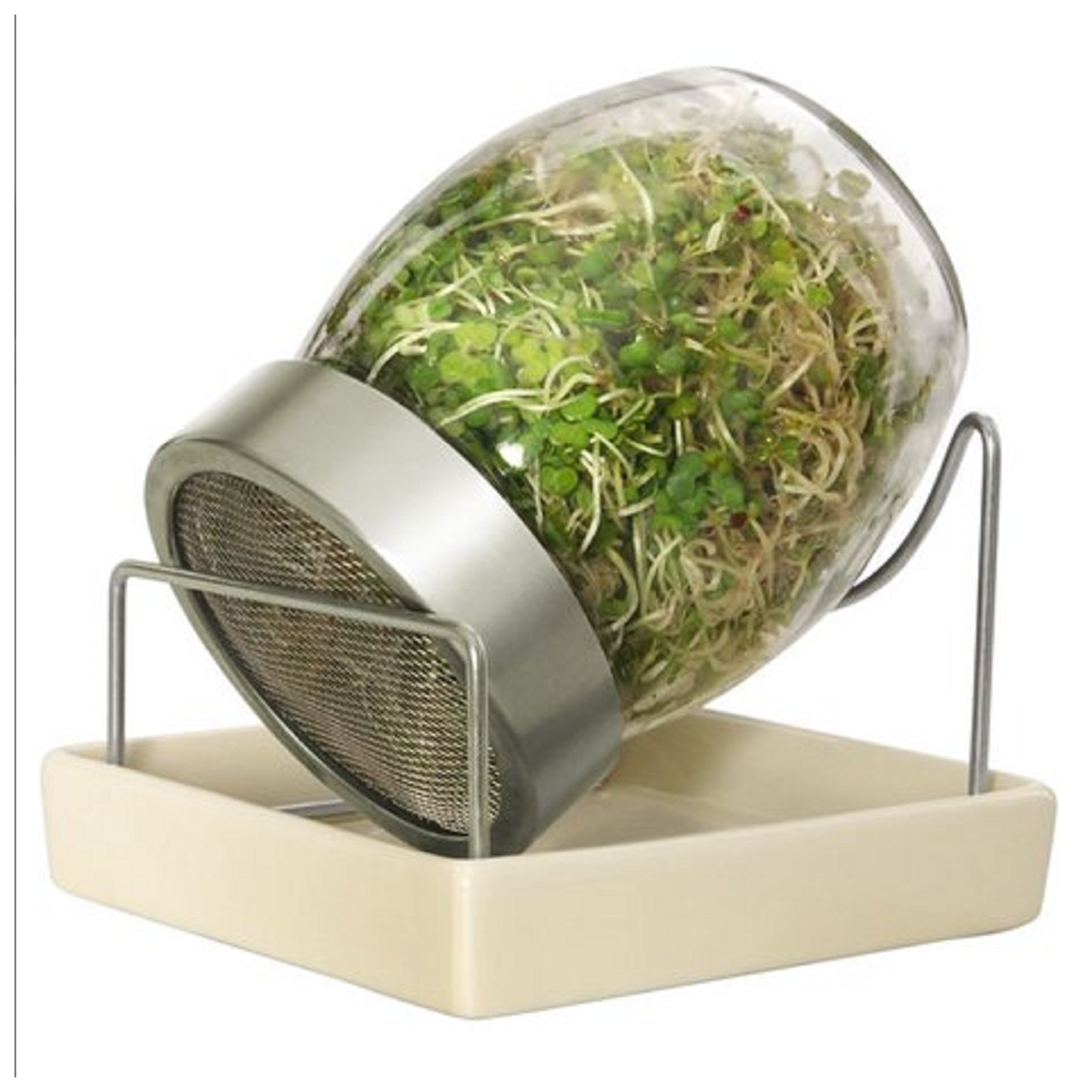 Pohár na klíčenie s keramickým podstavcom - 1 ks