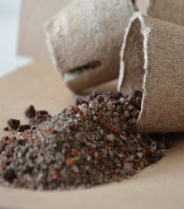 Špeciálny substrát pro kaktusy pestované zo semien - 100 g