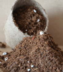 Špeciálny substrát pre mäsožravé rastliny pestované zo semien - 100 g