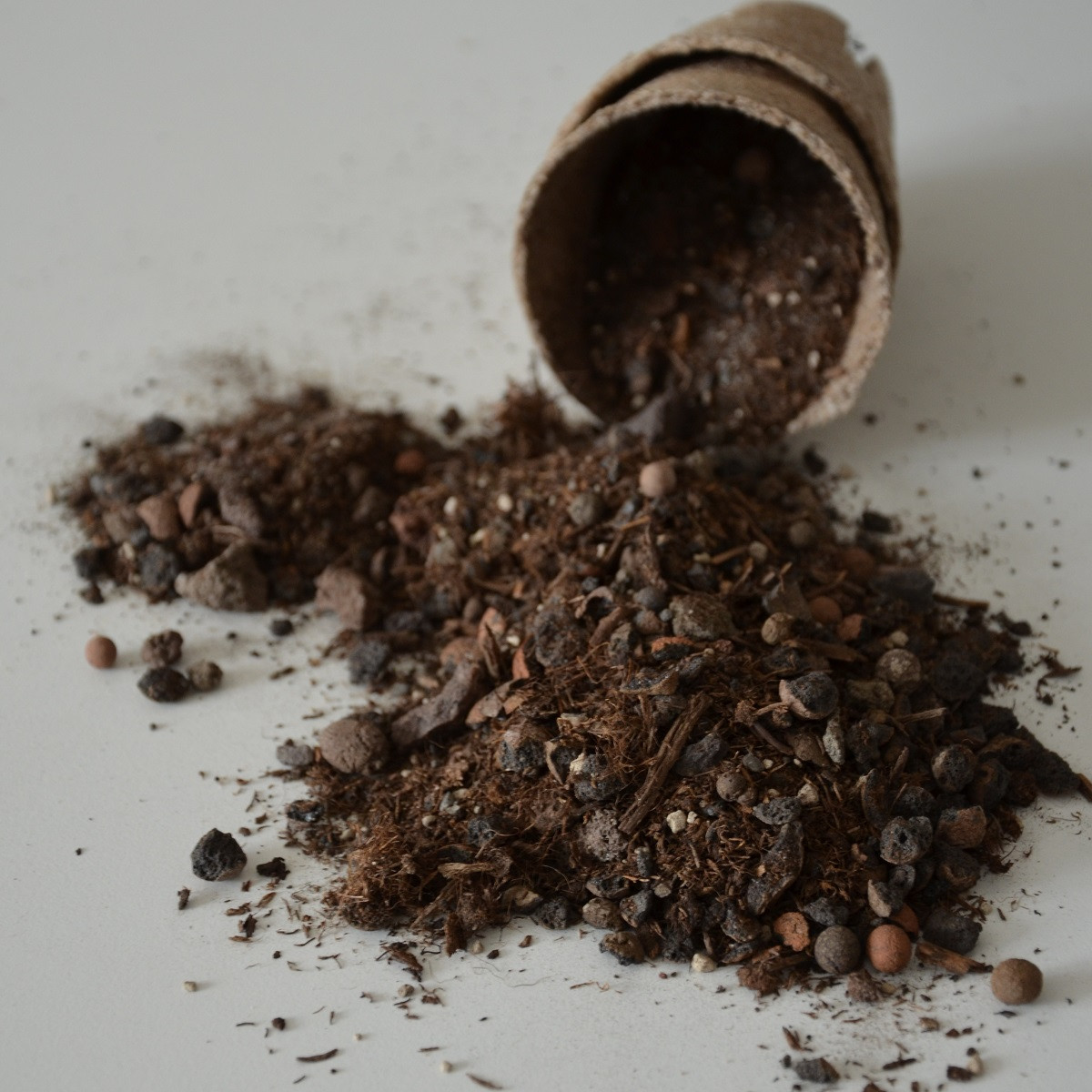 Špeciálny substrát pre buxusy pestované zo semien - 100 g