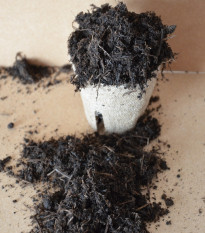 Špeciálny substrát pre paradajky, papriky, chilli semená - 200 g