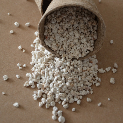 Perlit - na správny vývoj Vášho semienka - vhodné pre 3 až 5 semienok - 50 ml