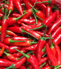 Bio Chilli Kajenské korenie - Capsicum annuum - bio semená - 7 ks