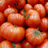 BIO semená – BIO Paradajka Oaxacan Jewel – Solanum lycopersicum