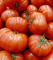 BIO Paradajka Oaxacan Jewel - Solanum lycopersicum - bio semená - 6 ks