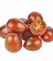 Paradajka Tigrino - Solanum lycopersicum - semena paradajky - 25 ks