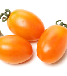 Paradajka Datlo - Solanum lycopersicum - semená paradajky - 25 ks