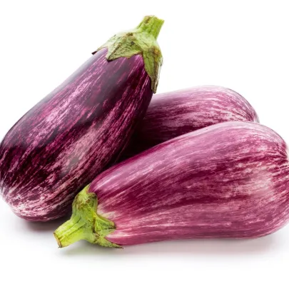 Okrasný baklažán Tsakoniki - Solanum melongena - semená - 10 ks