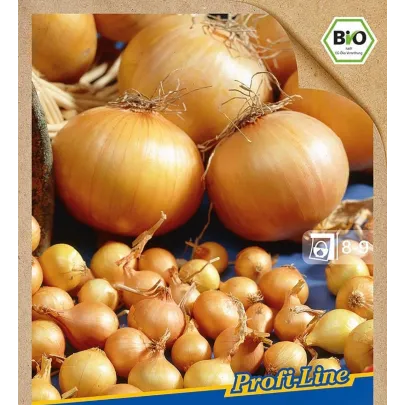 BIO Cibuľa sadzačka Contado F1 - Allium cepa - bio cibuľky - 50 ks