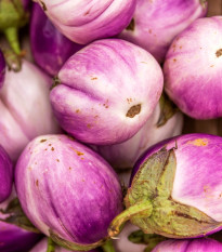 BIO Baklažán Rosa Bianca - Solanum melongena - bio semená - 20 ks