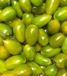BIO Paradajka Green Tiger - Solanum lycopersicum - bio semená - 7 ks