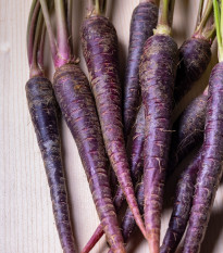 BIO Mrkva fialová Lila Lu SG - Daucus carota - bio semená - 200 ks