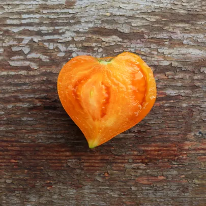 BIO Paradajka Coure di Bue oranžová - Solanum lycopersicum - bio semená - 8 ks