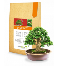 Symbivit Bonsai - mykorhíza pre bonsaje - Symbiom - 150 g