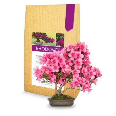 Rhodovit - mykorhíza pre bonsaje - Symbiom - 100 g