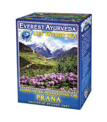 Prana - ajurvédsky bylinný čaj - 100 g