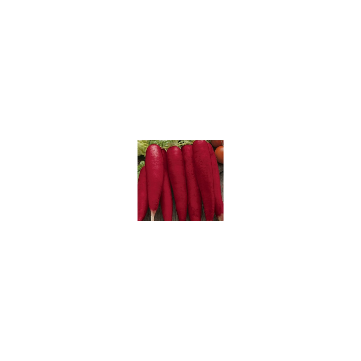 Reďkovka Rosa - Raphanus sativus - semená - 1,5 g