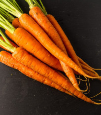 BIO Mrkva skorá Amiva - Daucus carota - bio semená - 400 ks