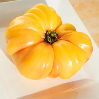 Paradajka Brandywine žltá - Solanum lycopersicum - semená - 7 ks