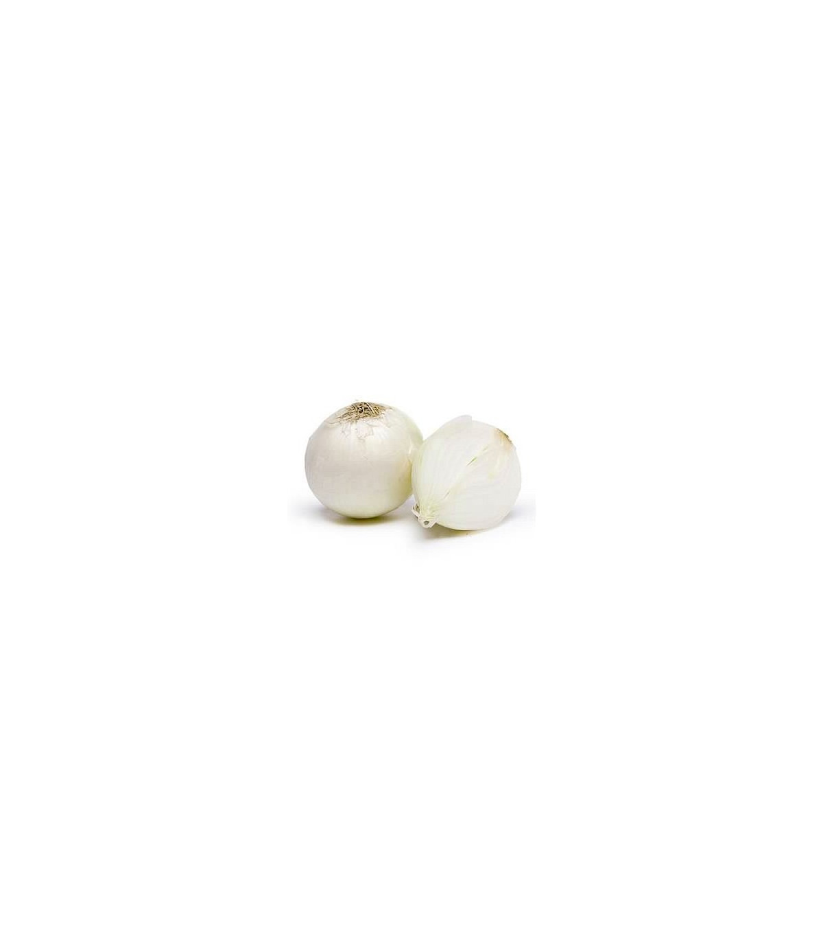 Cibule jarní bílá - semena Cibule - 250 ks 