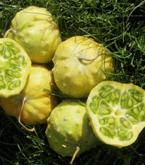 Kiwano Jelly Rund - Cucumis metuliferus - semená - 8 ks