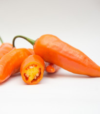 Chilli Aji Amarillo - Capsicum annuum - semená - 7 ks