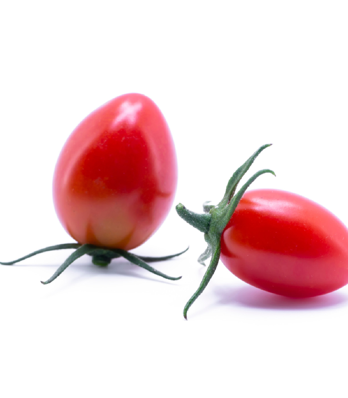 Rajče keříčkové Roma - semena Rajčete - 0,2 gr