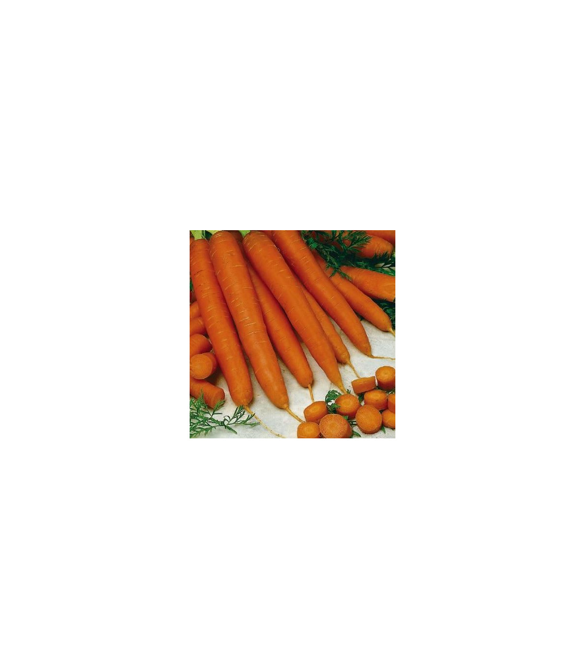 Mrkva skorá Gonsenheimer Treib – Daucus carota – osivo mrkvy
