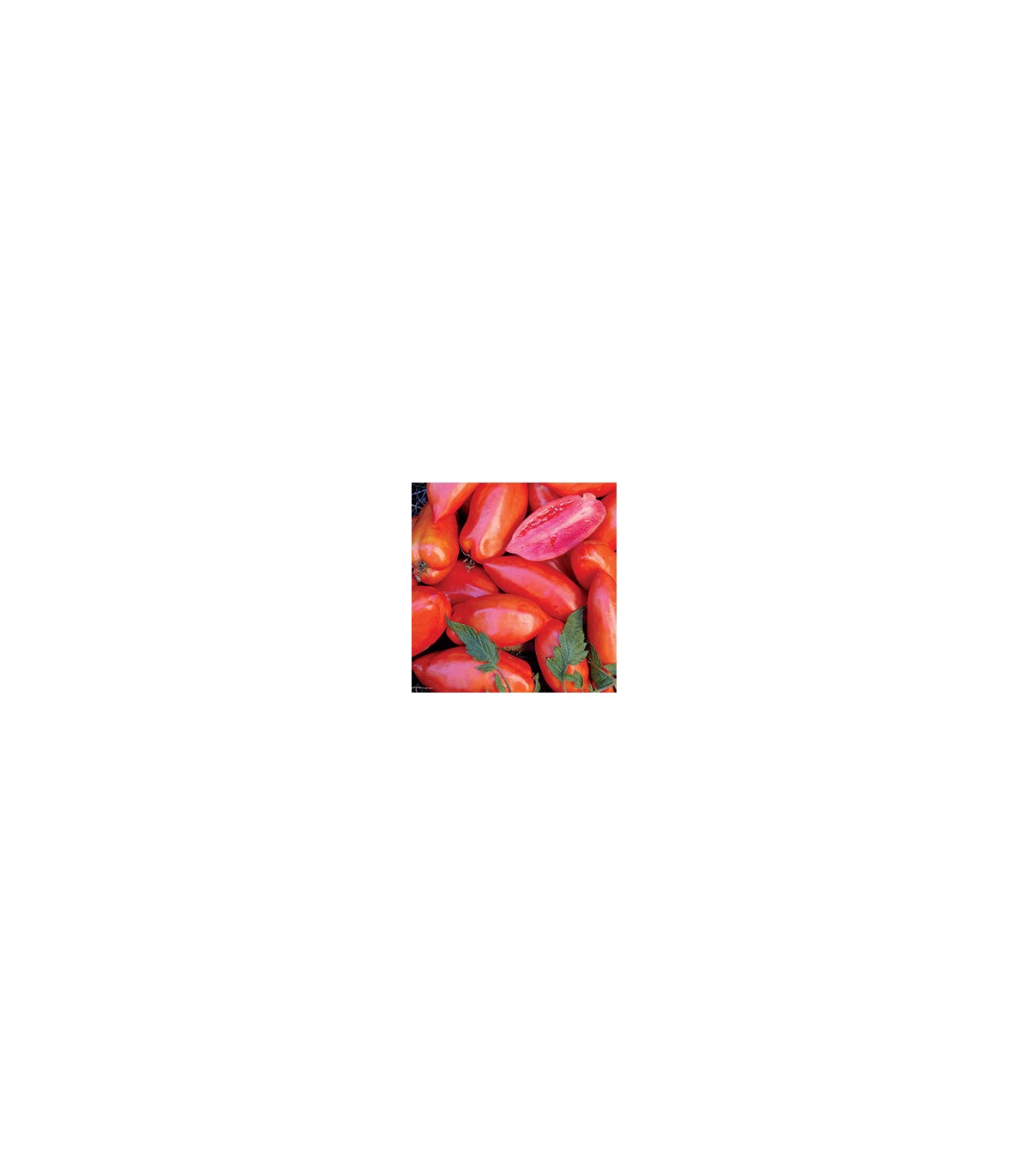 Paradajka Opalka – predaj semien paradajok – 7 ks