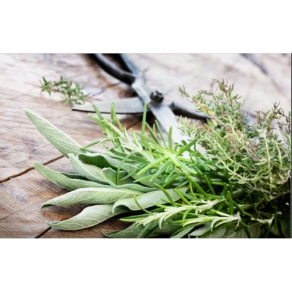 Zmes semienok korenia pre vašu kuchyňu - osivo aromatických rastlín - 0,5 g