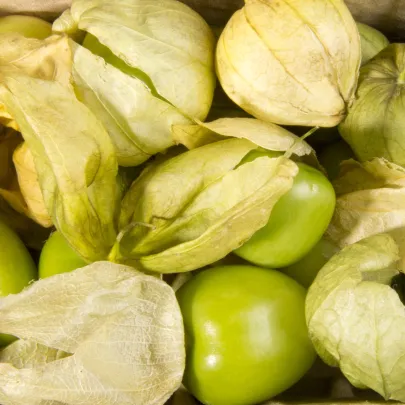 Rajčenka zelená - Tomatillo - Cyphomandra betacea - semená - 5 ks