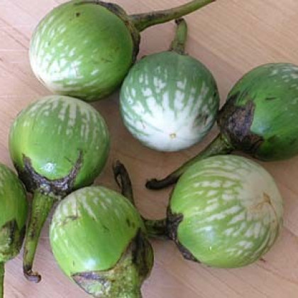 Baklažán Zelený tiger – Solanum melongena – semená