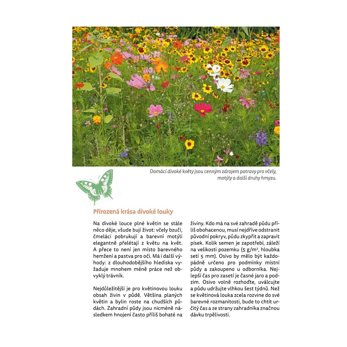 Záhrada plná života - kniha - 1 ks