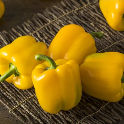 BIO Cuketa F1 Partenon - Cucurbita pepo - bio semená - 5 ks