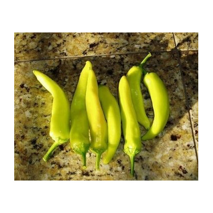 Chilli Maďarský vosk – Capsicum annuum – semená