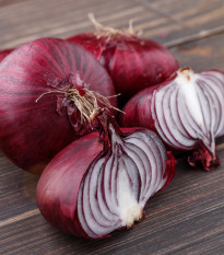 Cibuľa Braunschweiger červená - Allium cepa - semená - 250 ks