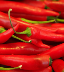 Chilli Kajenské korenie Thick - Capsicum annuum - semená - 6 ks