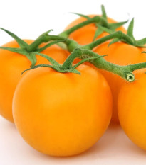 Paradajka Sungold F1 - Solanum Lycopersicum - semená - 6 ks