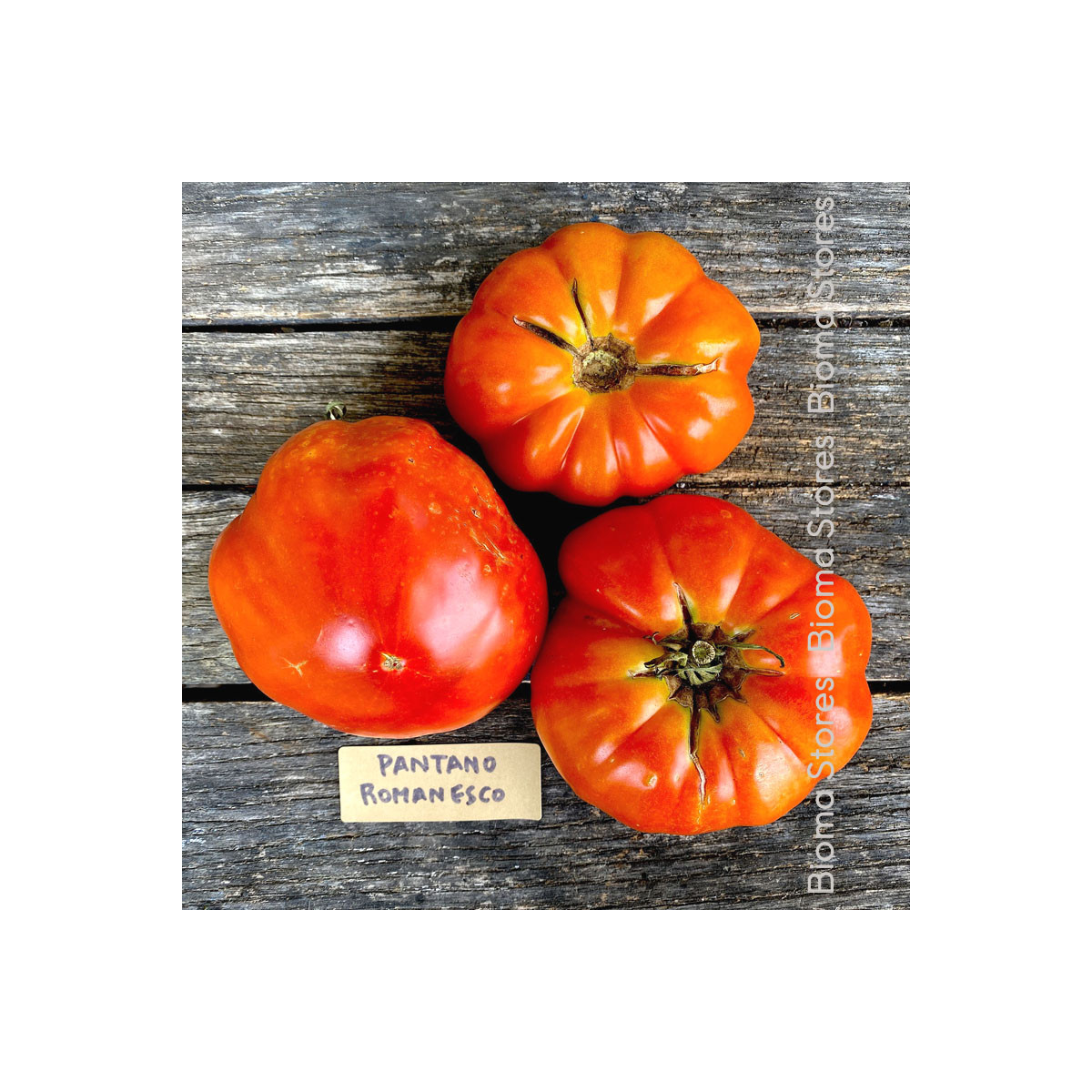 Semená paradajky – Paradajka Pantano Romanesco – Solanum lycopersicum