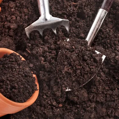 Substrát pre izbové rastliny - substrát - 100 g