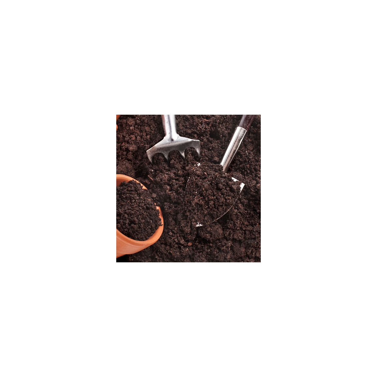 Substrát pre izbové rastliny - substrát - 100 g