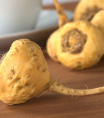 Maka peruánska - Lepidium Meyenii - semená maky - 5 ks