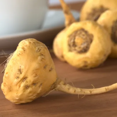 Maka peruánska - Lepidium Meyenii - semená maky - 5 ks