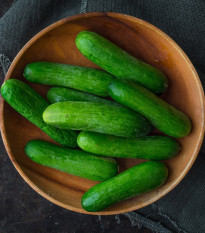 Uhorka šalátová Baby F1 - Cucumis sativus - semená - 10 ks