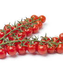 Paradajka Gourmelito F1 - Solanum lycopersicum - semená - 6 ks